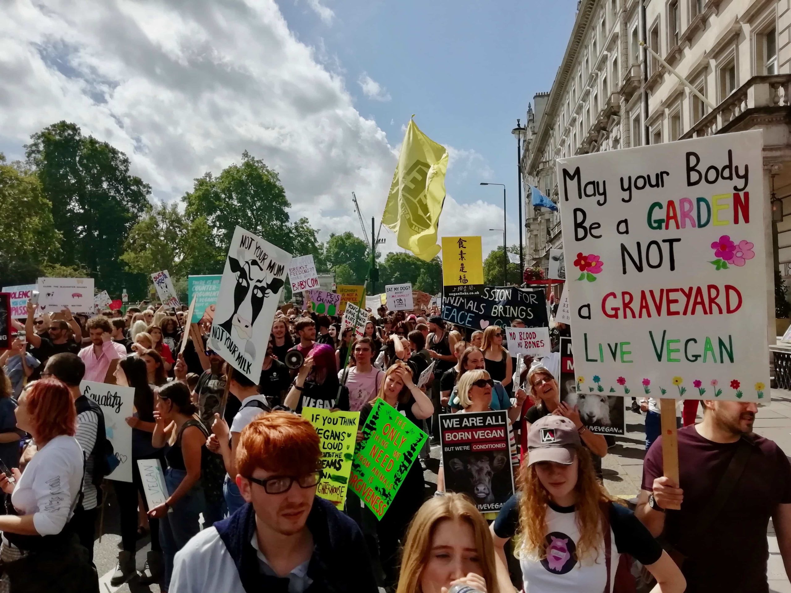 The Animal Rights March - London Vegan Diaries